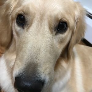 Meet your Posher, Matthieu